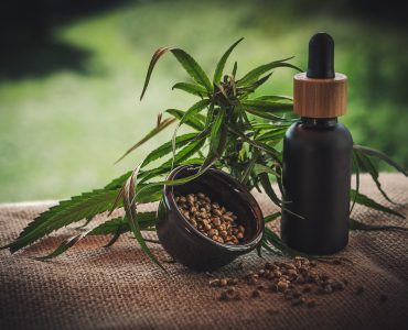 difference chanvre cbd