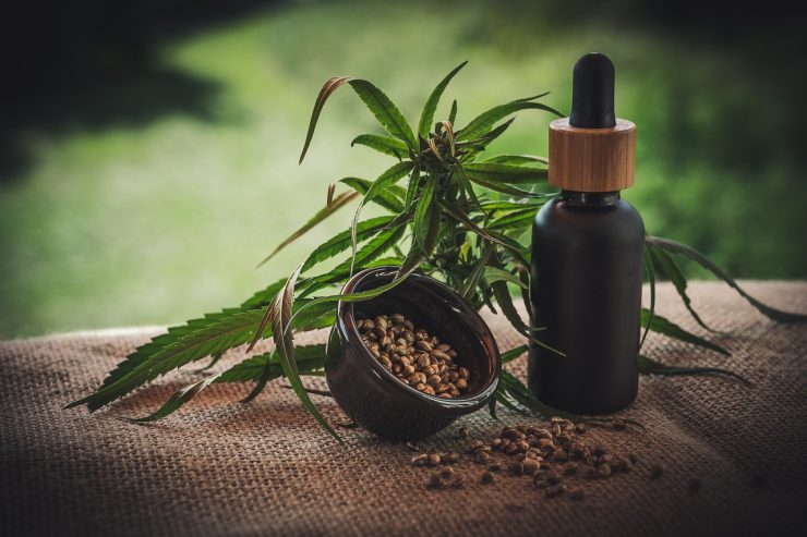 difference chanvre cbd